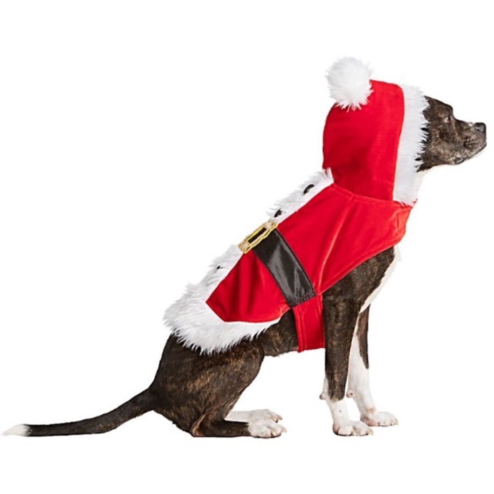 🆕 MERRY & BRIGHT- Santa Costume for Dogs 🐕